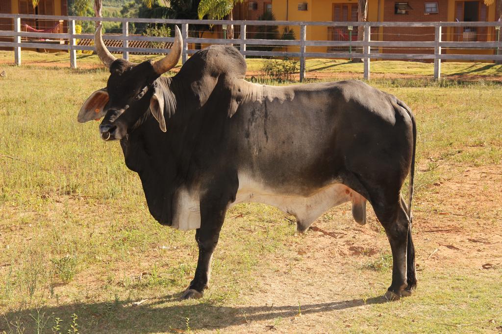 Hotel Fazenda Poços de Caldas Екстериор снимка